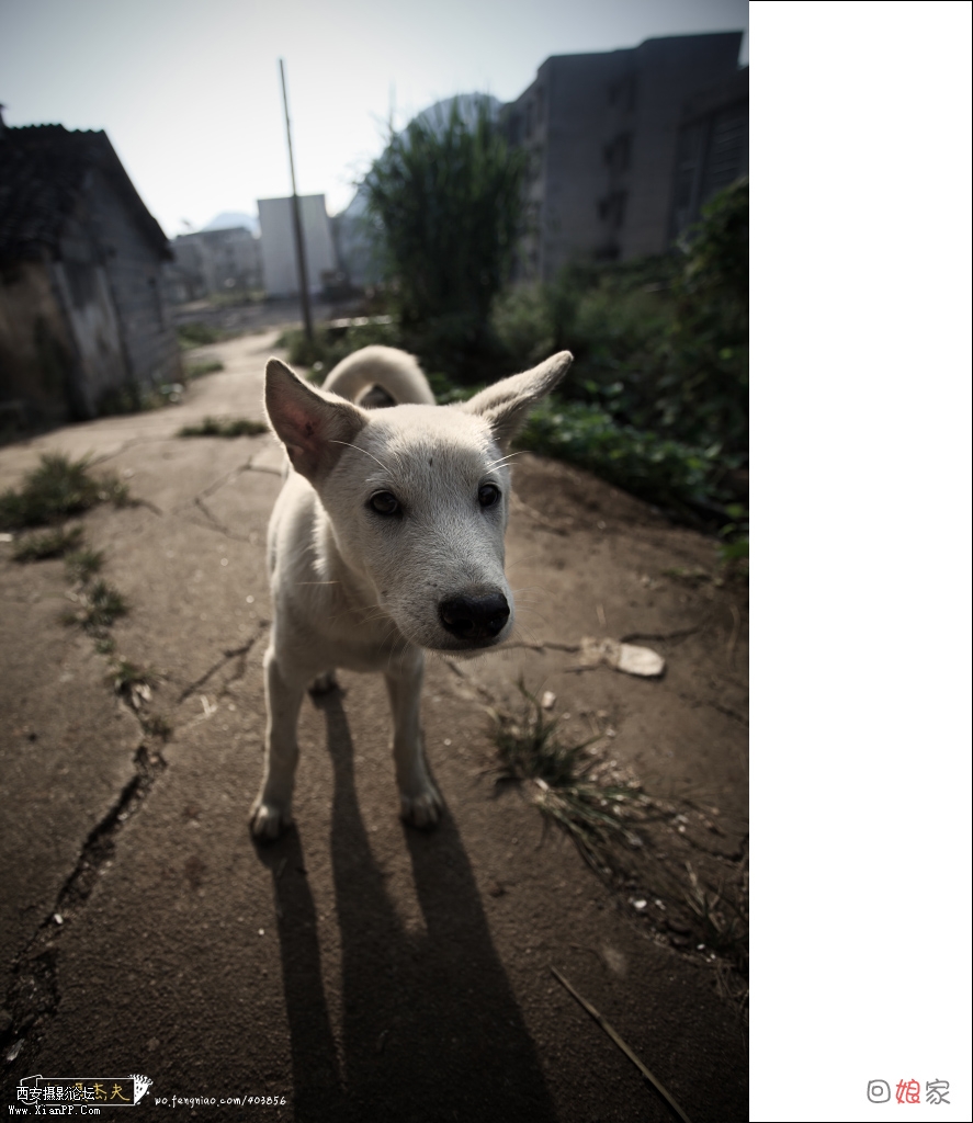 Canon EOS 5D Mark II,1/400,f4,iso100,17mm