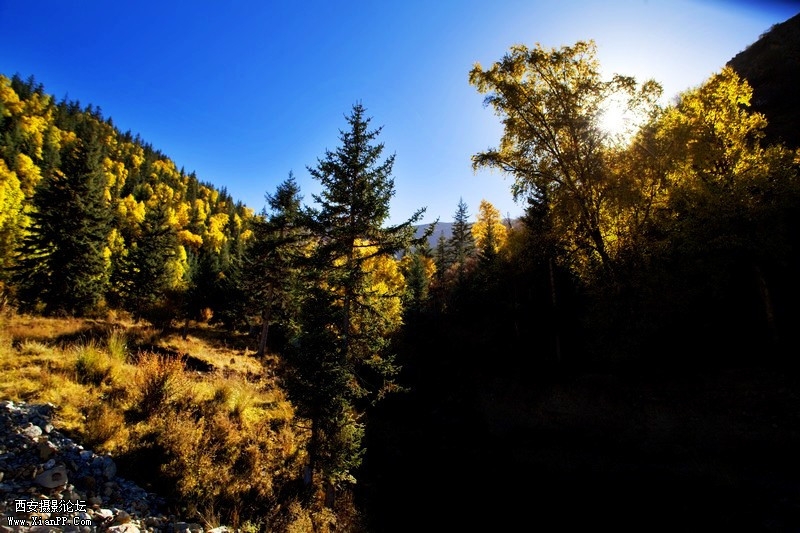  快门:1/250  光圈:F/8.0  焦距:24毫米  感光度:100 