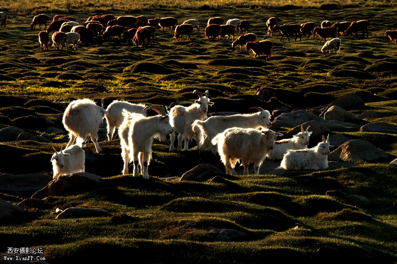 光圈: F/11.0 快门:1/250 焦距:145 毫米