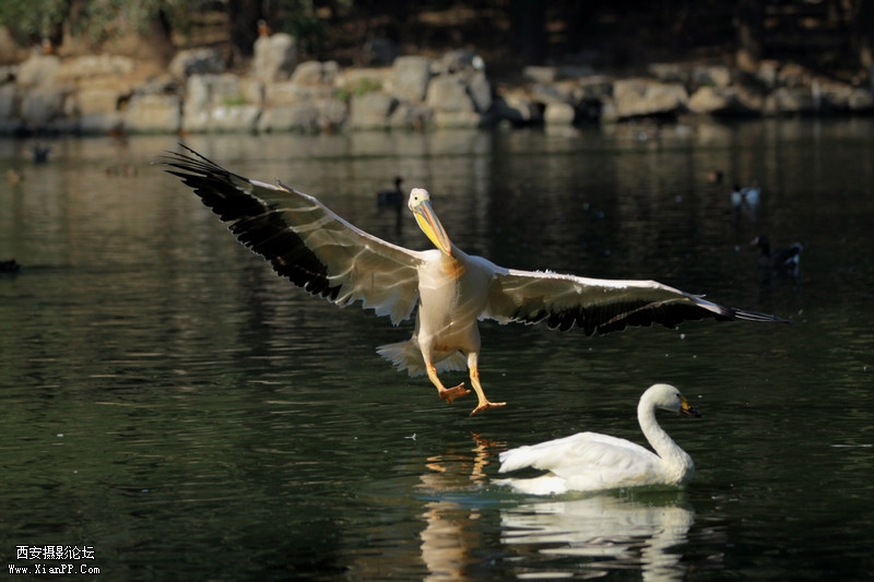 快门:1/3200  光圈:F/2.8  焦距:120毫米  感光度:100