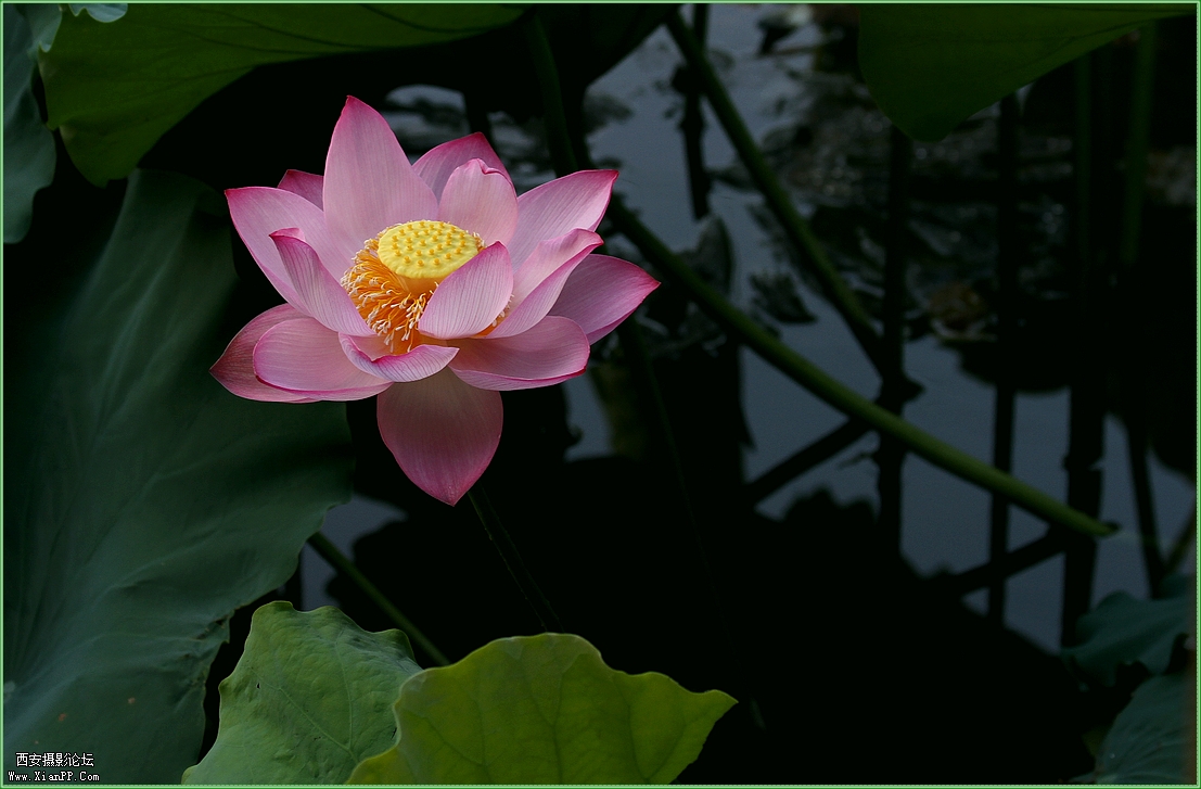  快门:1/50  光圈:F/5.6  焦距:70毫米  感光度:100