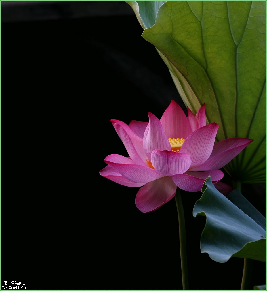 快门:1/30  光圈:F/5.6  焦距:150毫米  感光度:100 