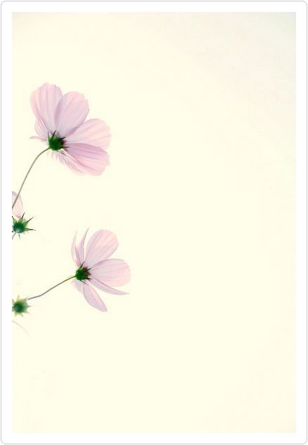 光圈: F/6.3 快门:1/4000 焦距:18 毫米 感光度:200