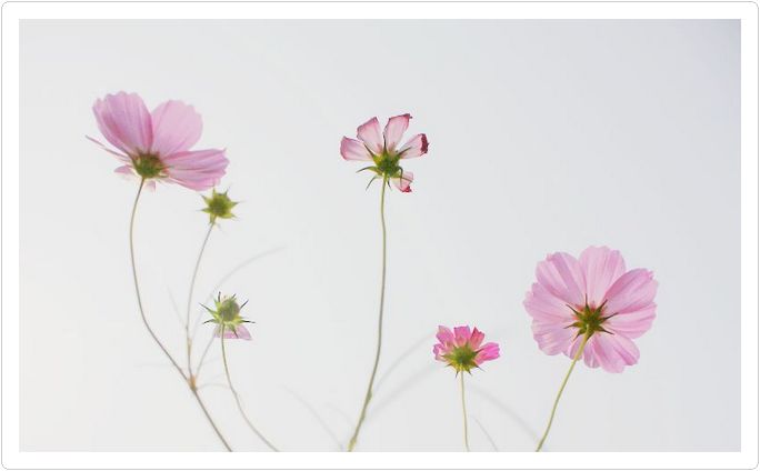  光圈: F/6.3 快门:1/3200 焦距:18 毫米 感光度:125