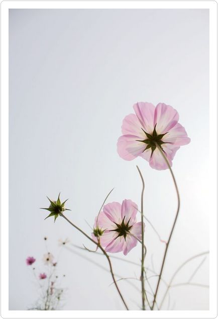 光圈: F/6.3 快门:1/3200 焦距:18 毫米 感光度:200