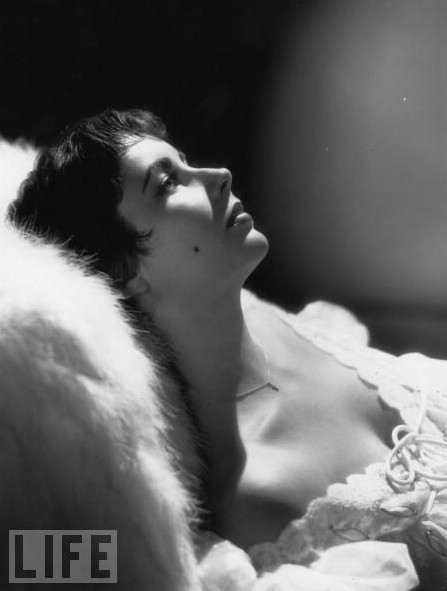 Elizabeth Taylor，拍摄于1954年
