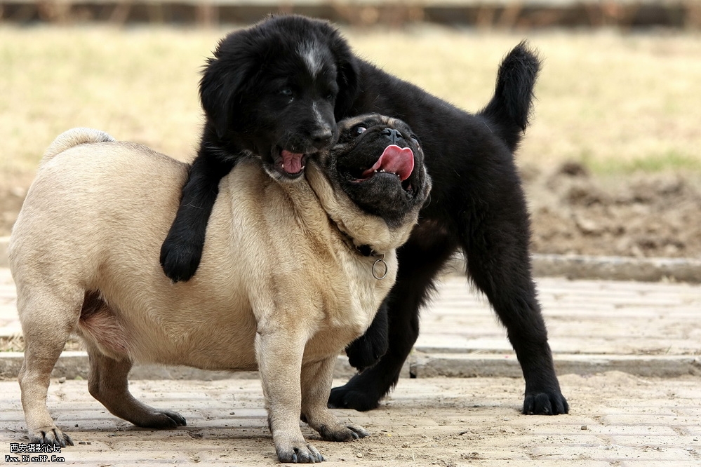 光圈: F/4.0 快门:1/500 焦距:145 毫米 感光度:400