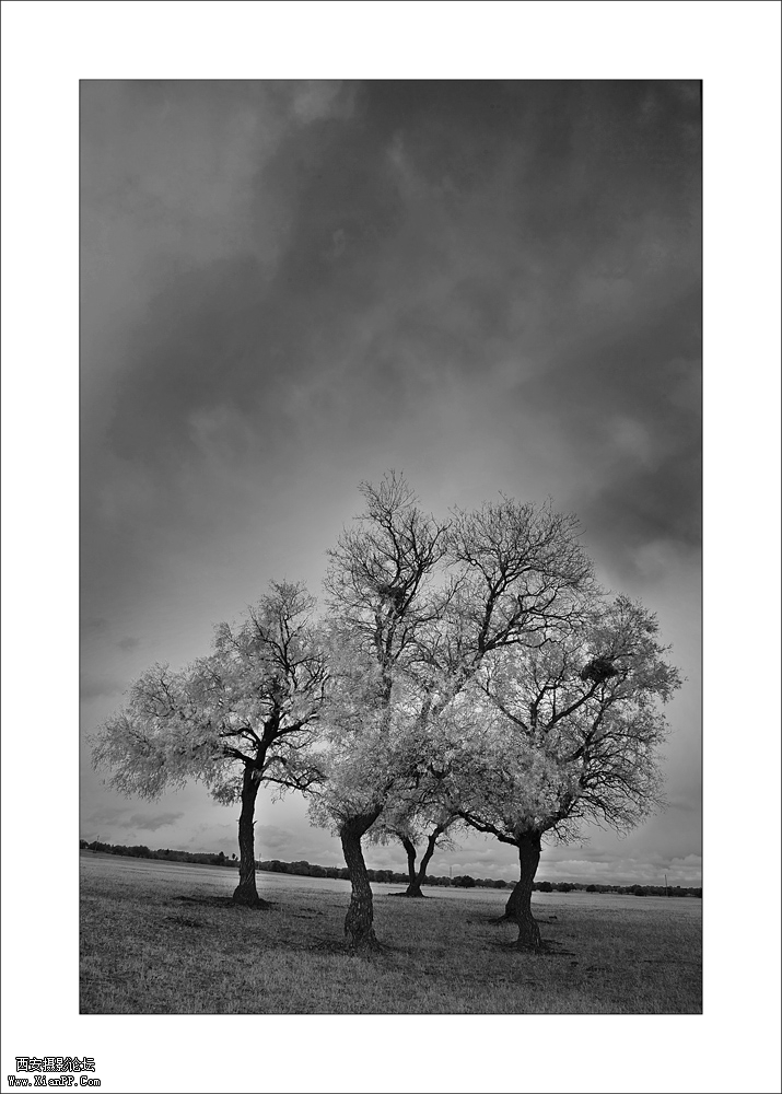  光圈: F/11.0 快门:1/80 焦距:24 毫米 感光度:50