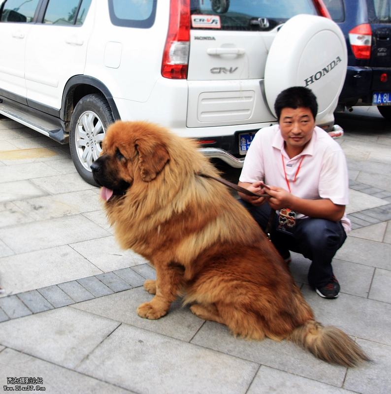 光圈: F/4.5 快门:1/200 焦距:24 毫米 感光度:100