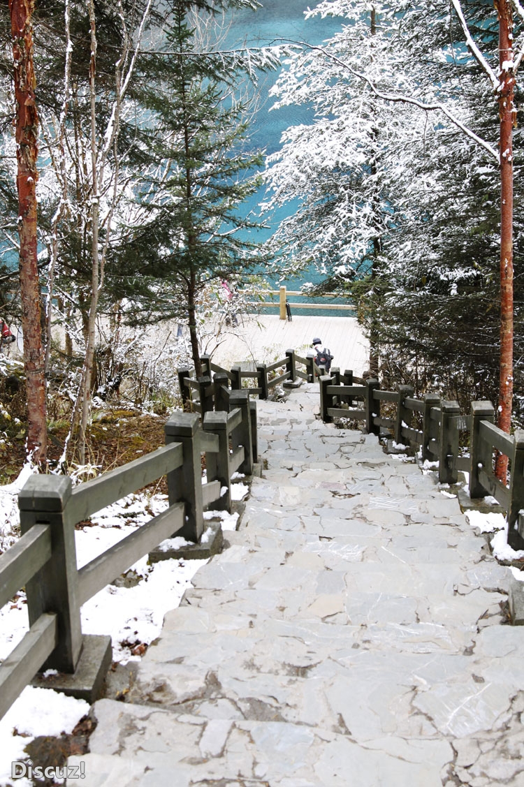 九寨沟 (396)-g.jpg