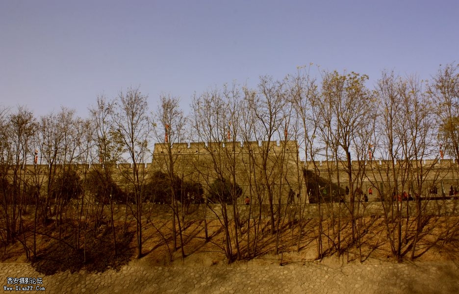 _MG_0962.jpg