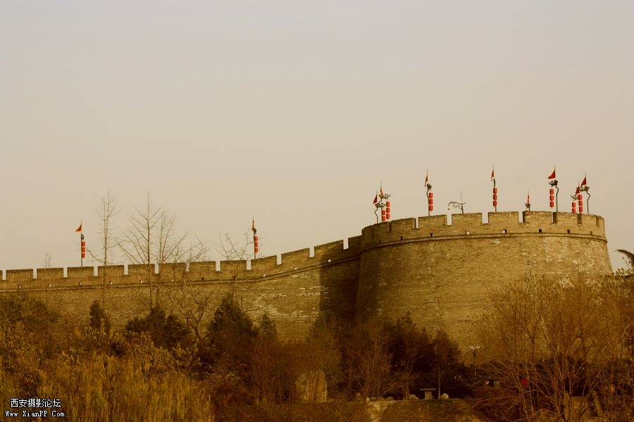_MG_1014.jpg