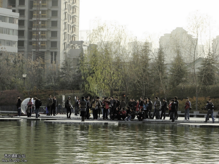 _MG_9596.jpg