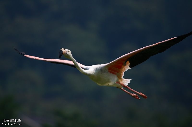  光圈:f/6.3 快门:1/2000 感光度ISO:160