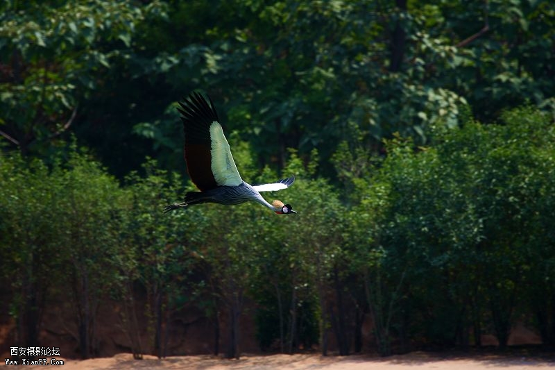 光圈:f/6.3 快门:1/500 感光度ISO:160 