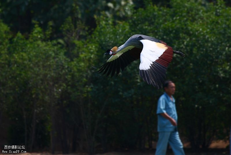 光圈:f/6.3 快门:1/640 感光度ISO:160 