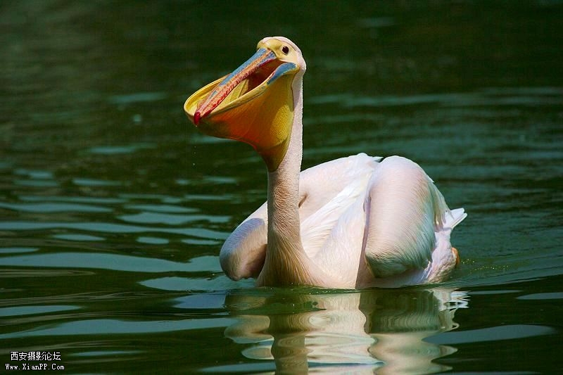 光圈:f/6.3 快门:1/5000 感光度ISO:160 