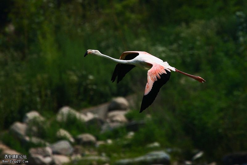 光圈:f/7.1 快门:1/1250 感光度ISO:160 