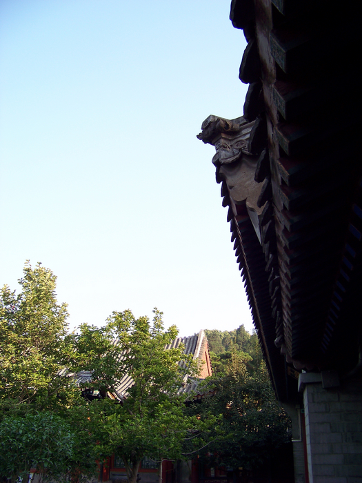 KODAK Z812 IS ZOOM DIGITAL CAMERA f/2.8 1/200秒 ISO64