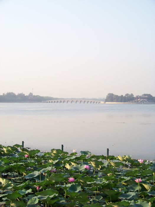 KODAK Z812 IS ZOOM DIGITAL CAMERA f/3.2 1/320秒 ISO64