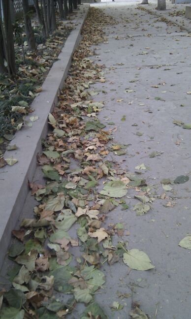 用手机拍的。。。可惜那天忘带相机