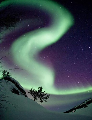 15、风中低语者