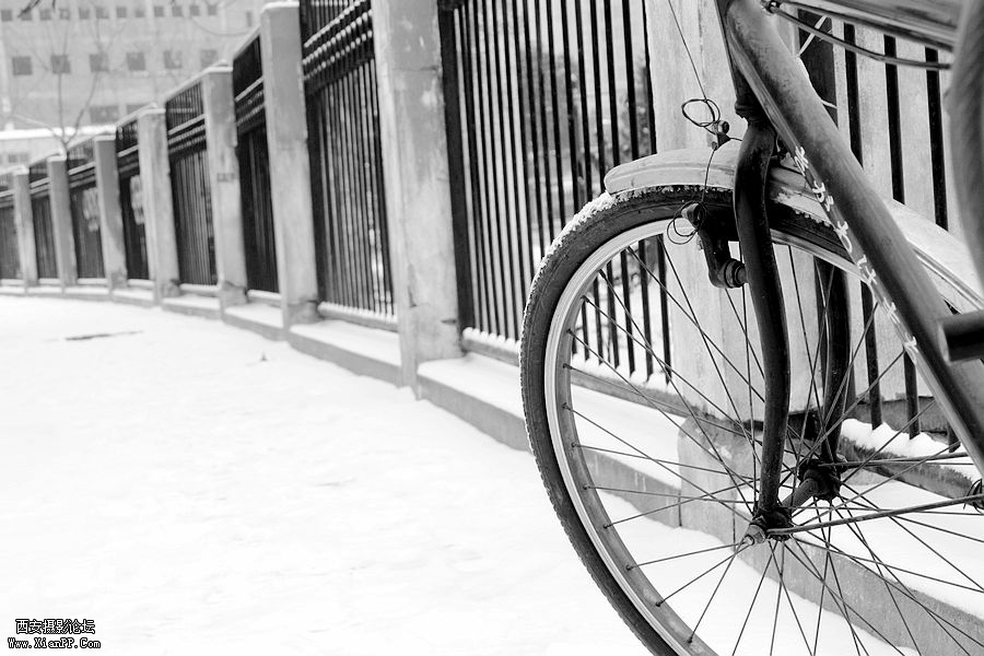 _MG_2990.jpg