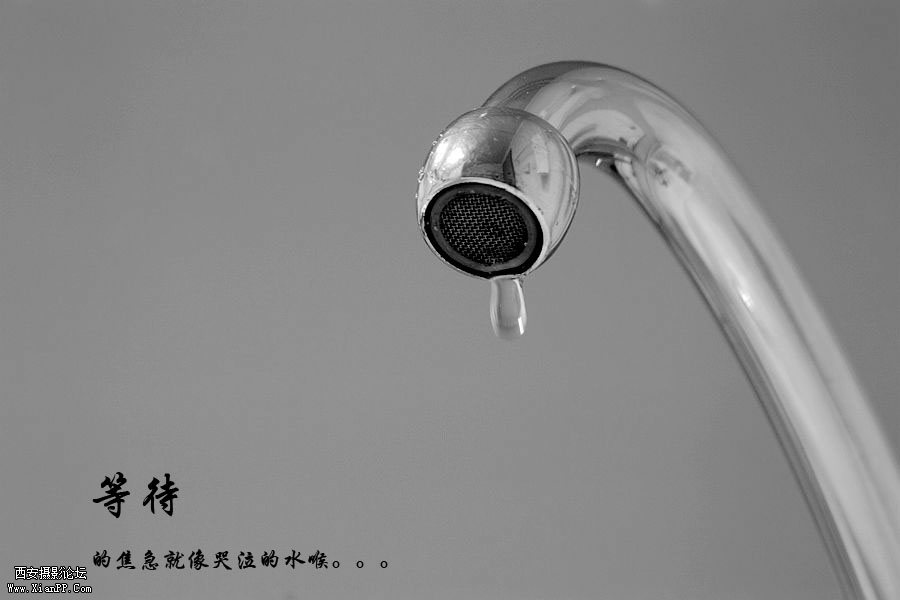 _MG_3337.jpg