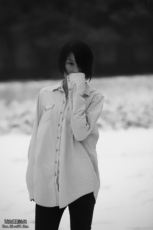 006.jpg