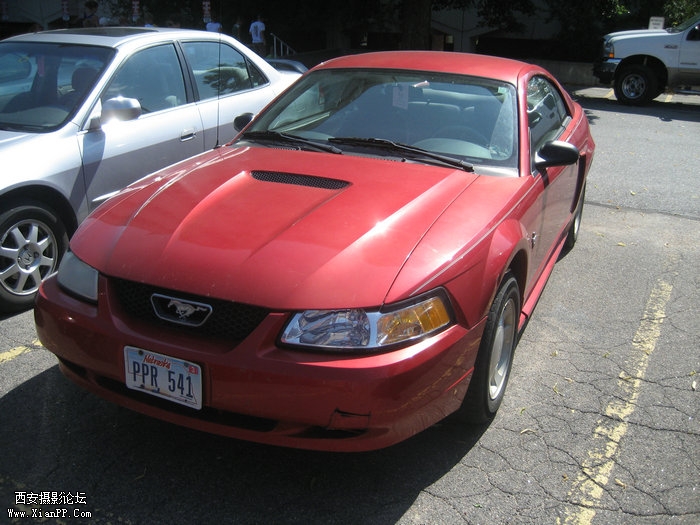 IMG_1710.JPG