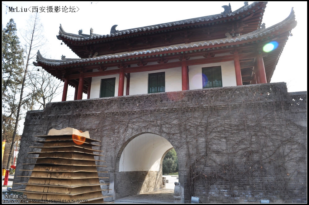 DSC_0122_光影_1.jpg