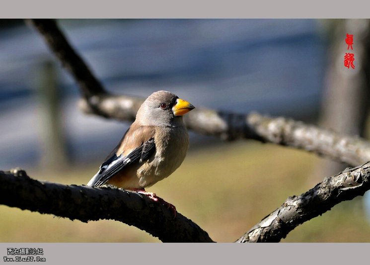  快门:1/1600  光圈:F/6.3  焦距:165毫米  感光度:800  
