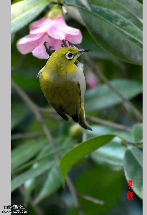 快门:1/160  光圈:F/6.3  焦距:280毫米  感光度:800 