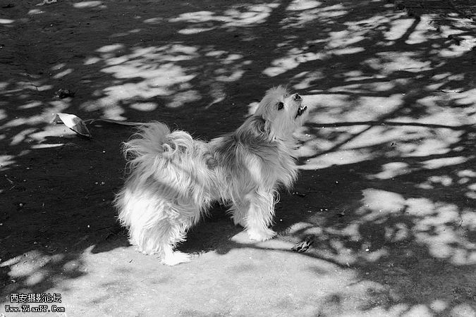 _MG_6138.jpg