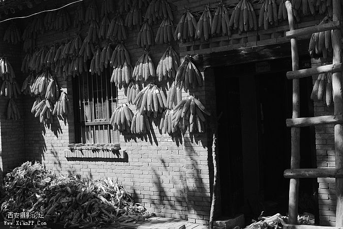 _MG_6141.jpg