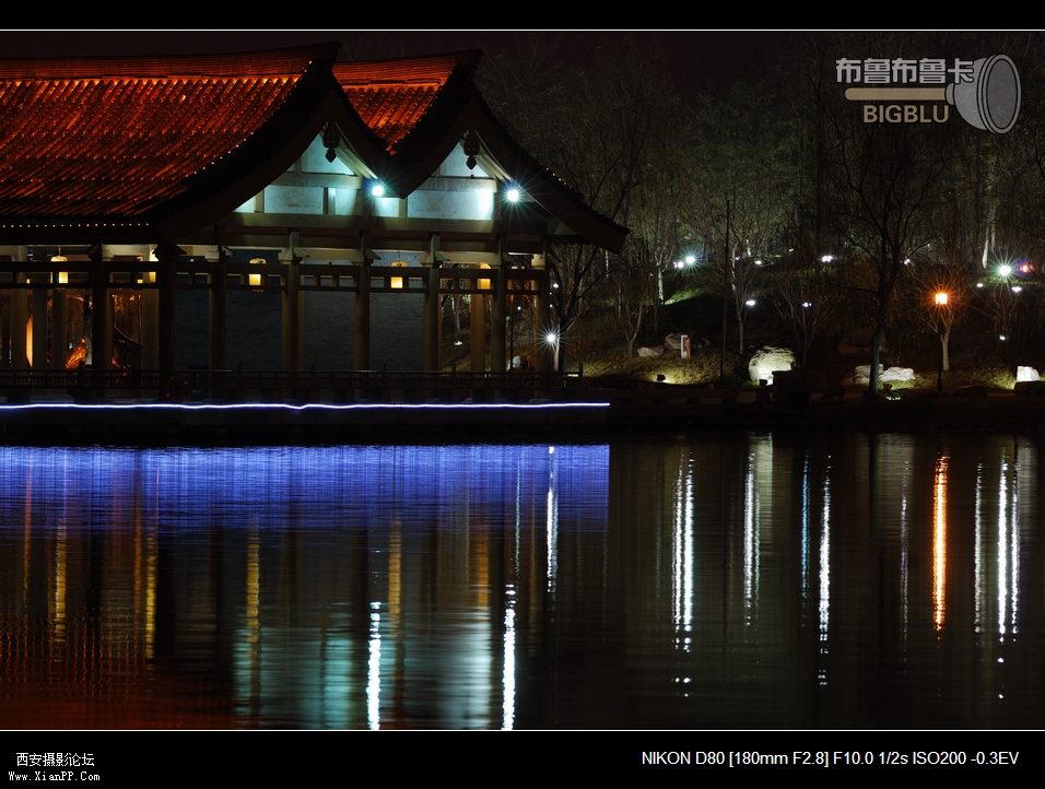 DSC_5719.jpg