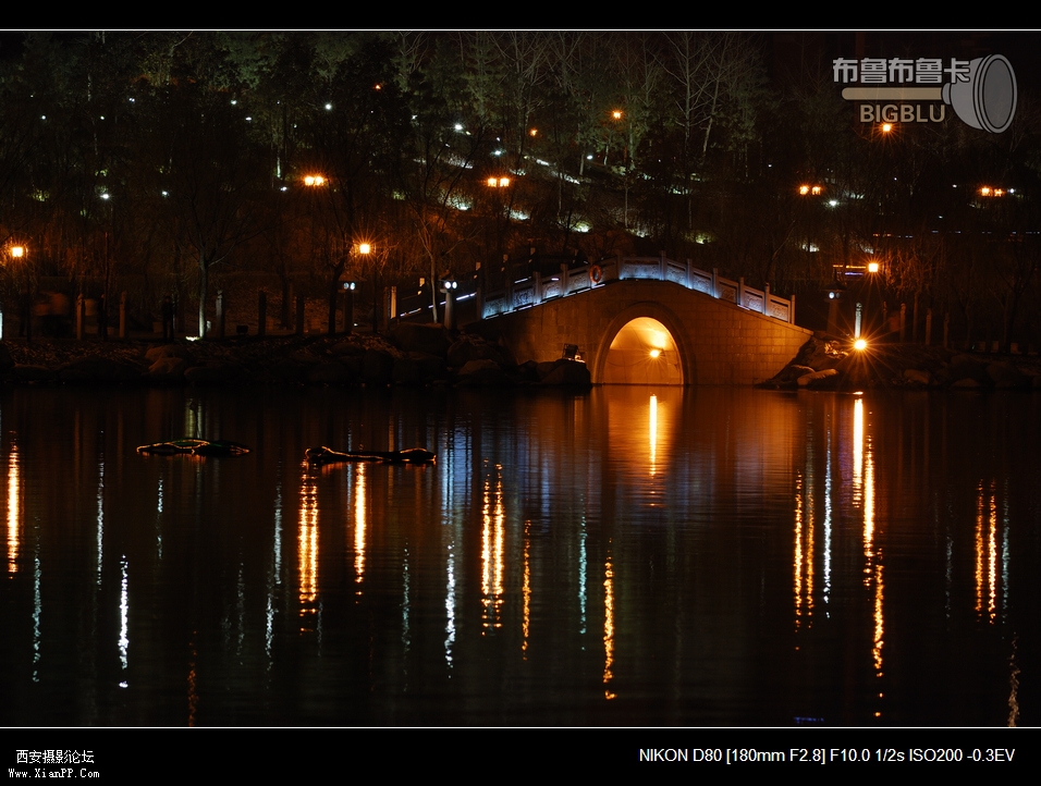 DSC_5720.jpg