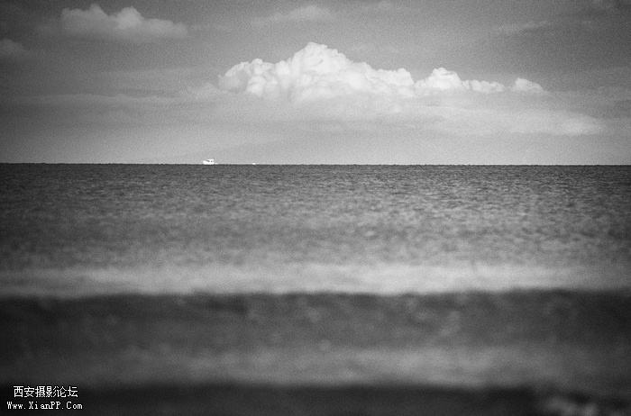 仿佛听到了浪的低语。