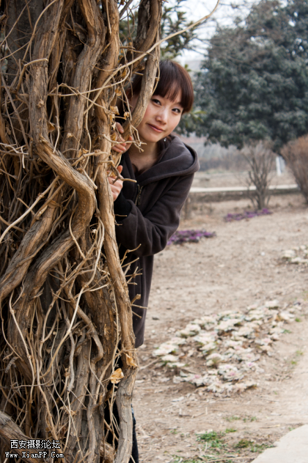 Janna Behind Tree.png