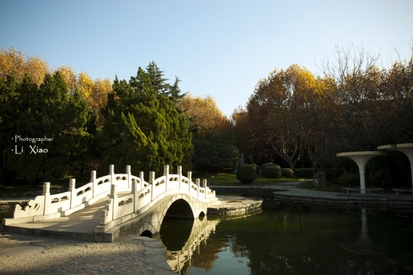 p_large_sZBx_61e20004034c5c42.jpg