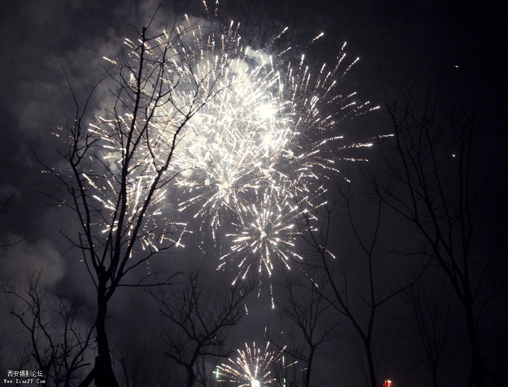 DSC_0118.jpg