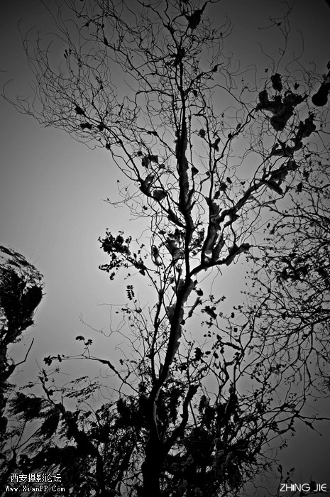 _DSC2944副本.jpg