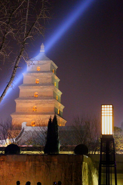 DPP_0226 - 副本.JPG