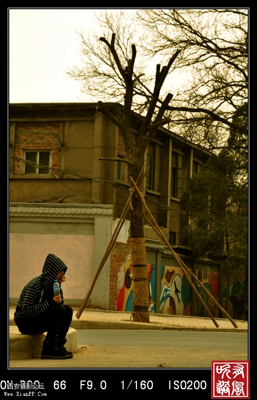 DSC_3533.JPG