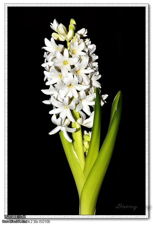 nEO_IMG__DSC0884 - 副本1.jpg