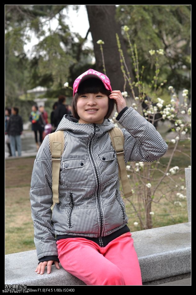 玉兰花的诱惑