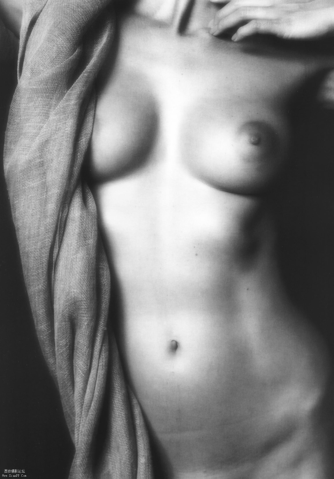 0030.jpg