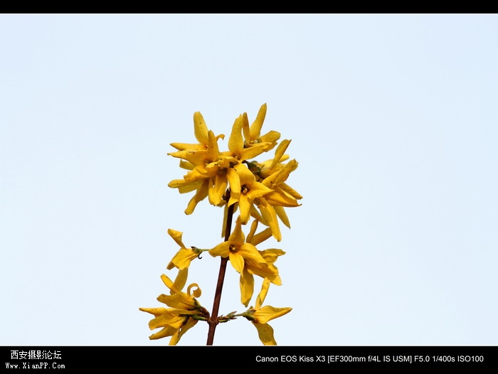 20110407 300mm试镜0004_调整大小.JPG