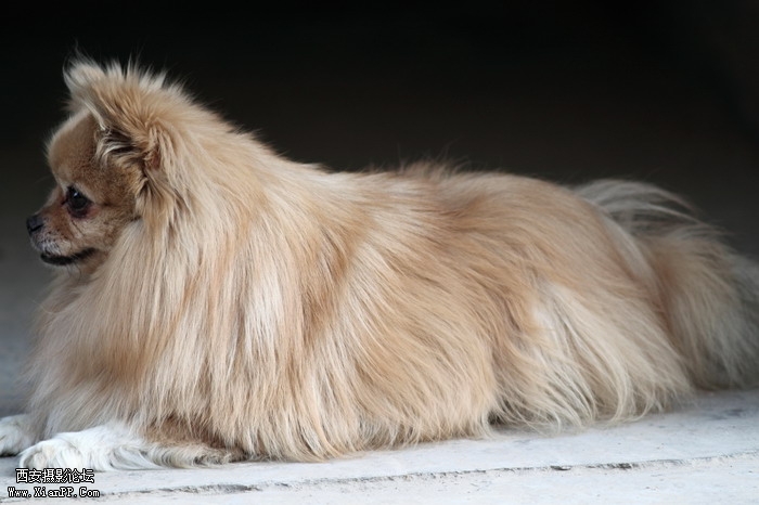 20110407 300mm试镜0016_调整大小.JPG