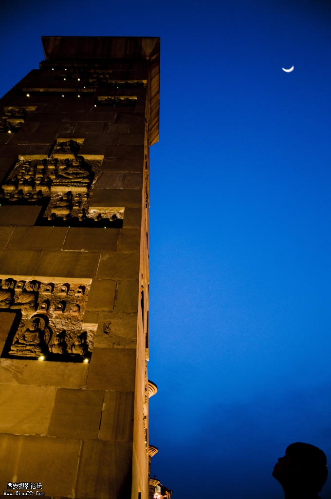 DSC_0082.jpg